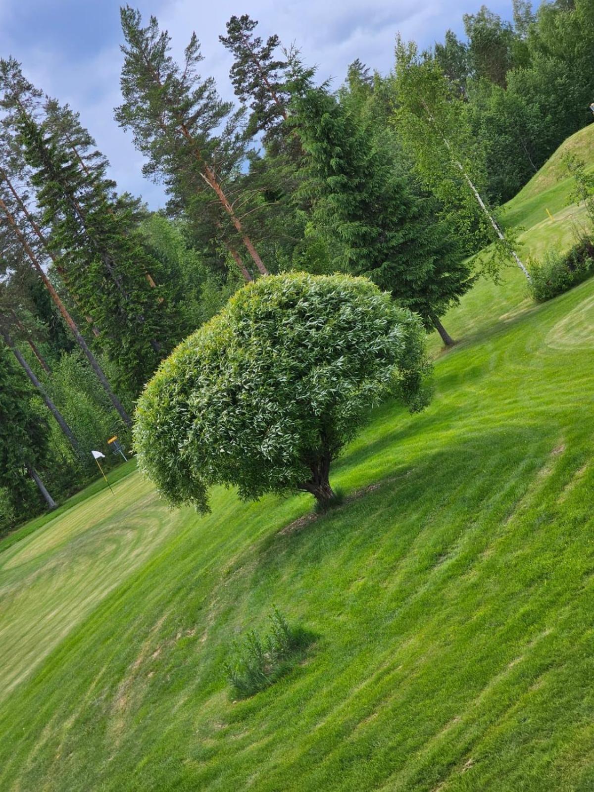 Hotel Kesaeaitat Ähtäri Exteriér fotografie
